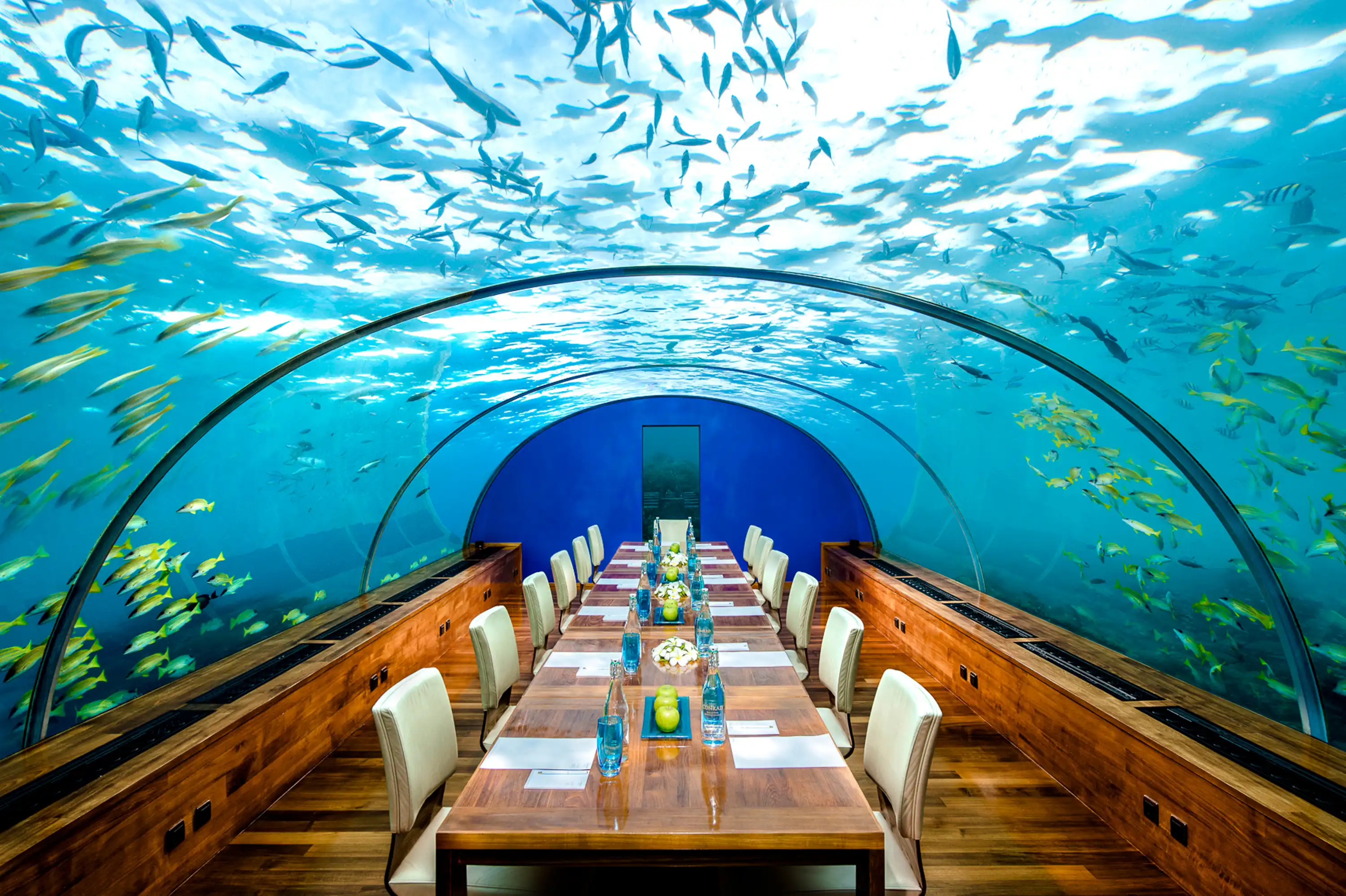 Ithaa Undersea Restaurant - pic 7